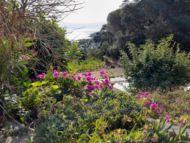 appartamento Isola d'Elba